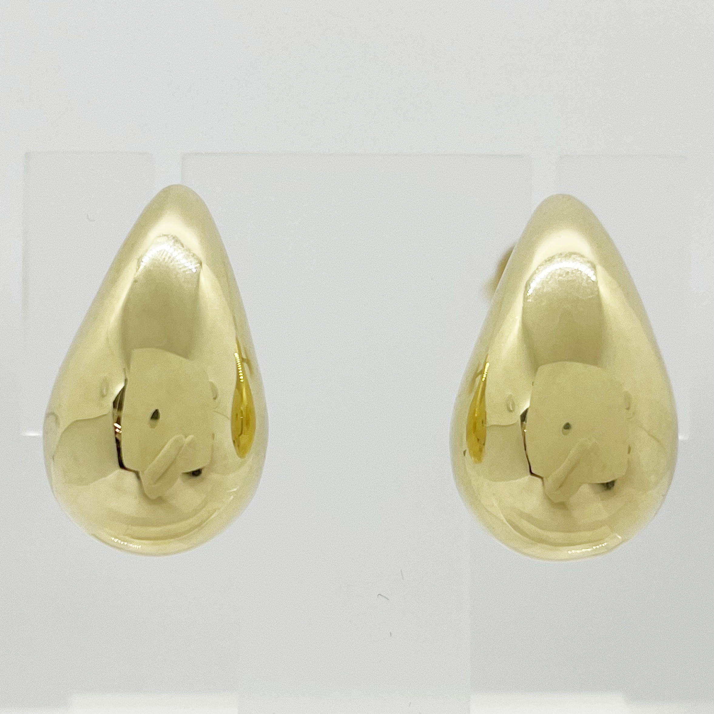 Tear Earring